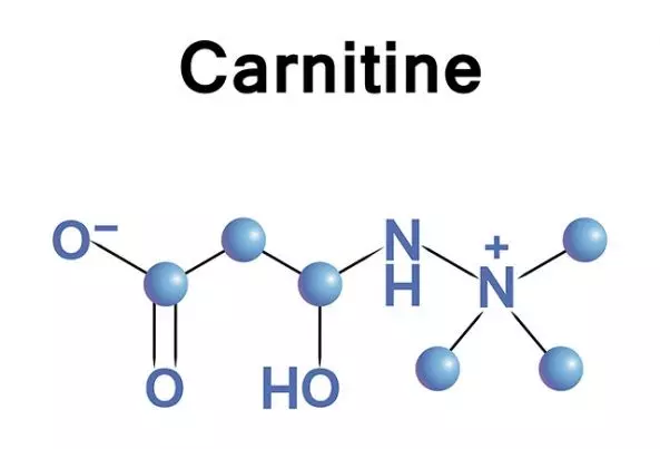 AnyConv.com__L- carnitine và những điều cần biết 1.webp